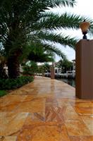 Exotic Gold Pavers